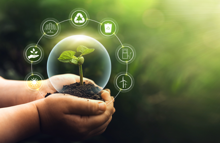 Hands holding a seedling surrounded by clean energy icons